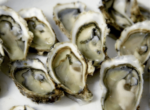 Zinc Benefits - Oysters a great source for zinc.