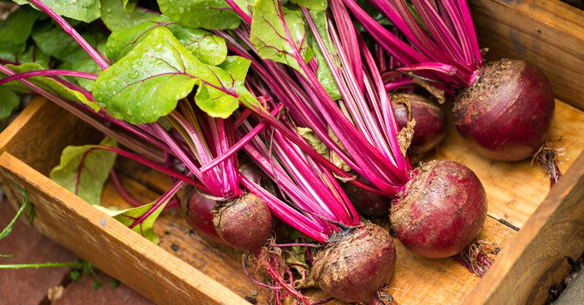 Unveiling the Nutritional Power of Beets