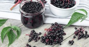 Harnessing the Potent Health Benefits of Elderberry