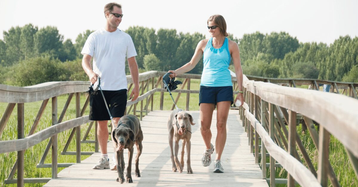 7-minute Walking circuit - walking dogs