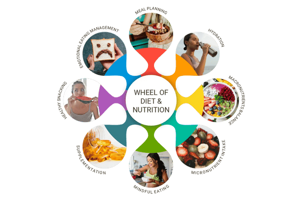 Wheel of Nutrition Quiz