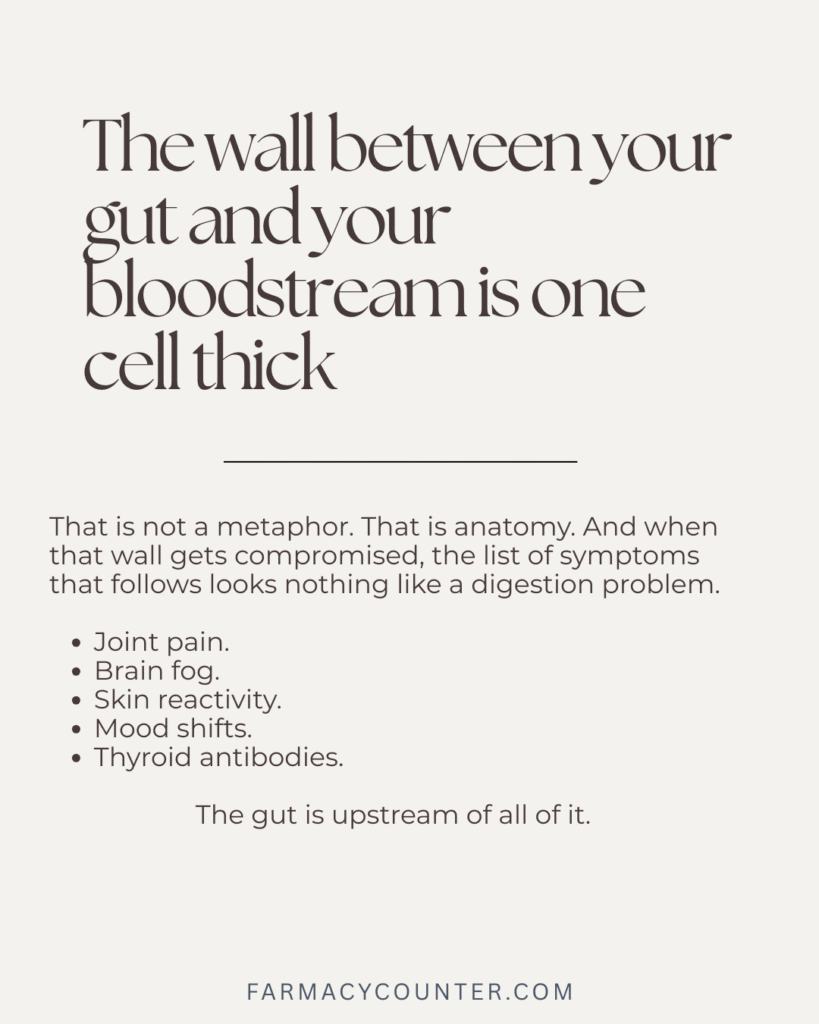 Intestinal Permeability