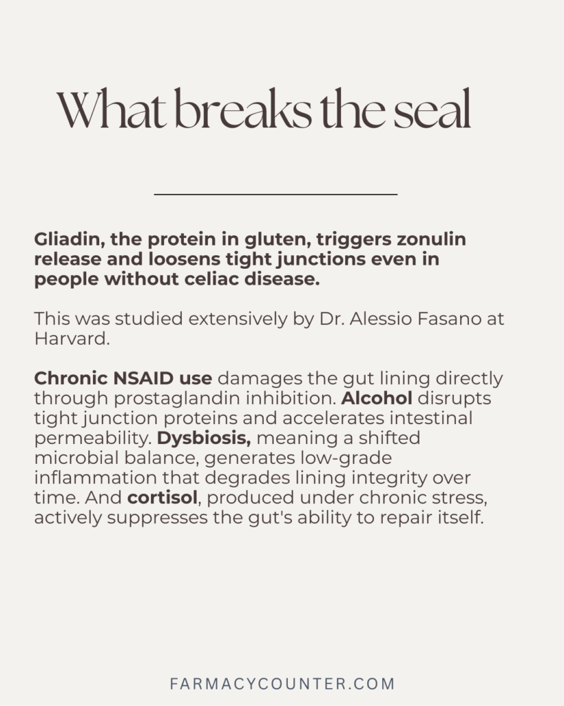 Tight Junction Damage - Gut