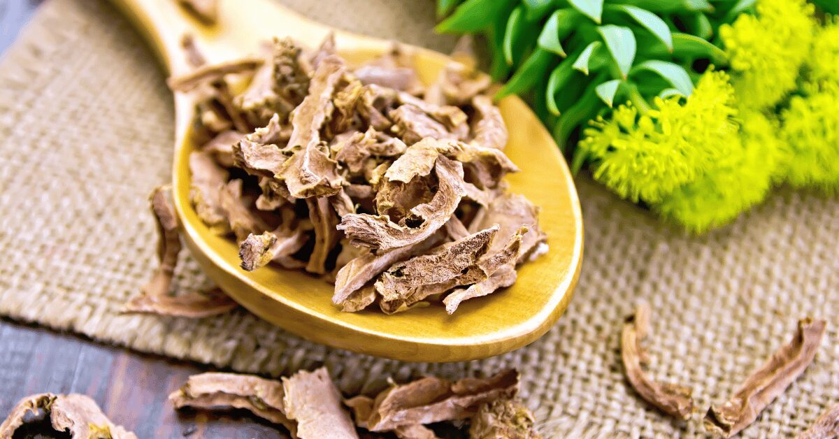 Adaptogens for Beginners: Which Ones to Try & When