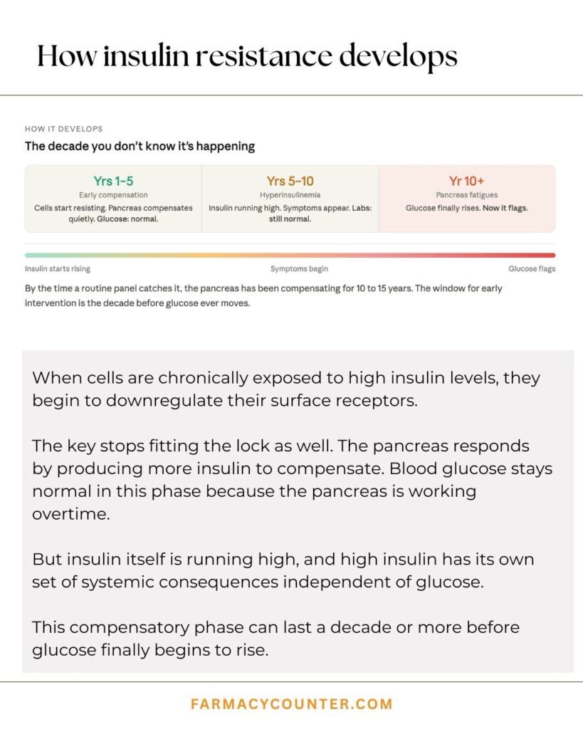 Insulin Resistance Stages