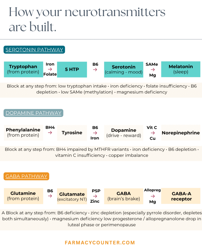 Neurotransmitter Nutrients