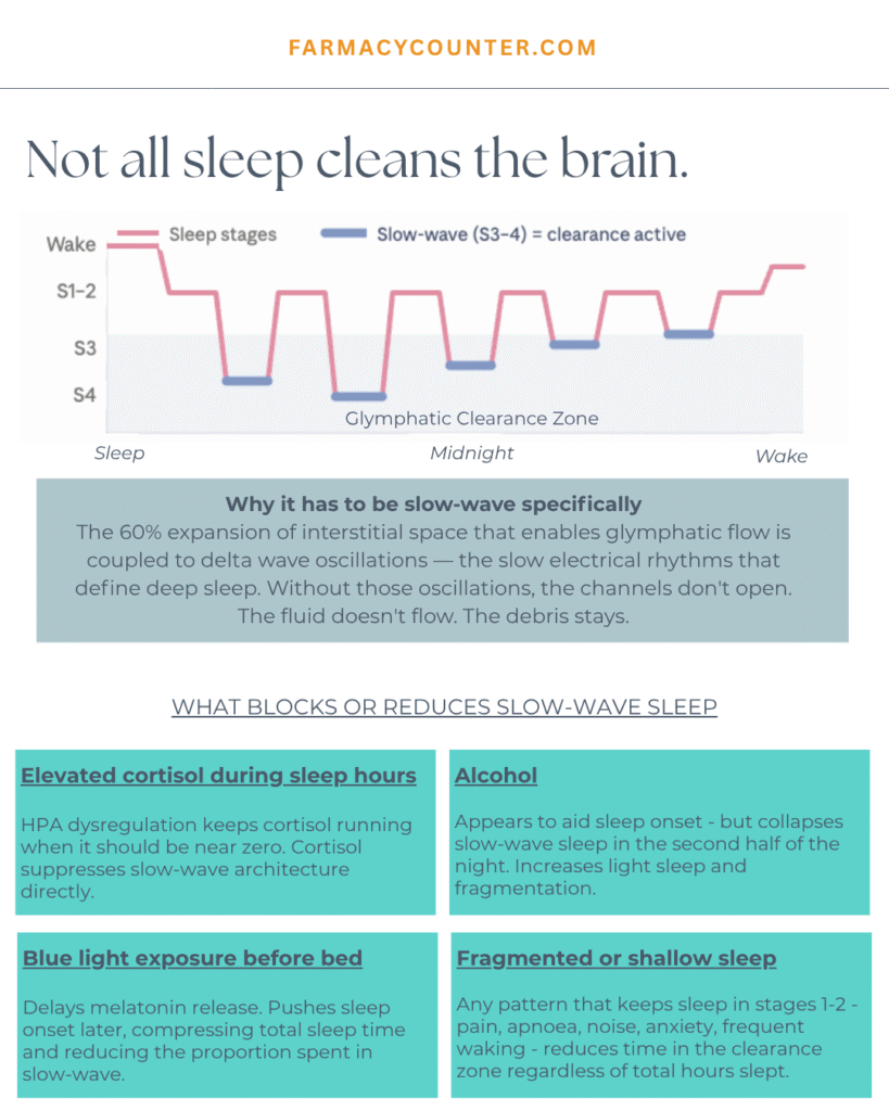Sleep Stage - Glymphatic System
