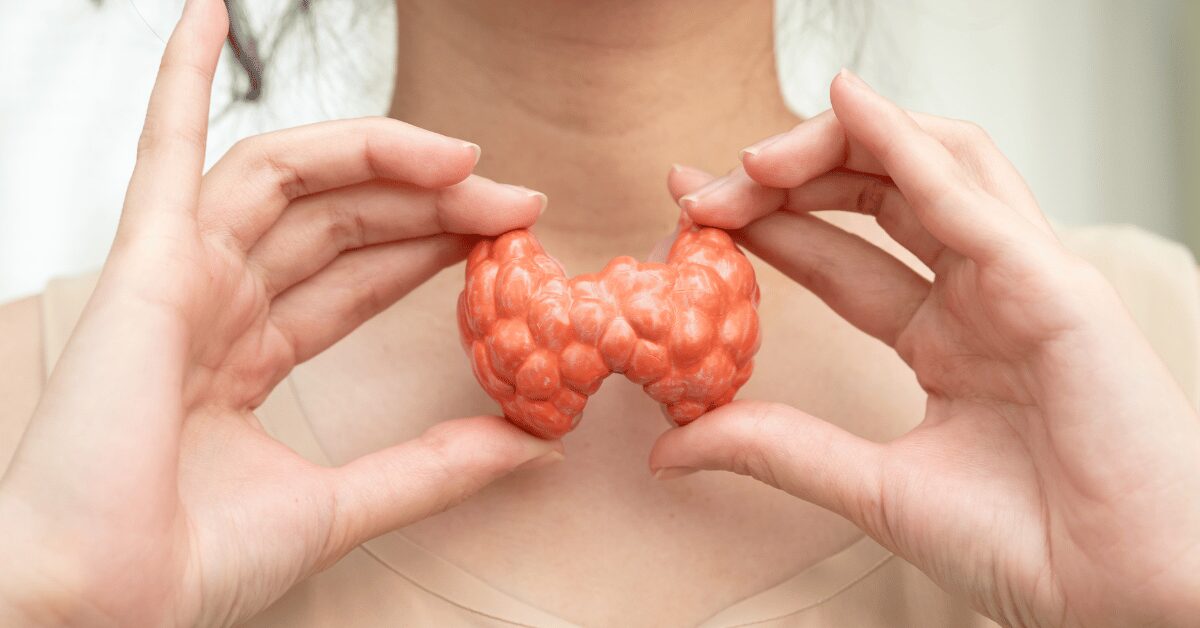 Thyroid