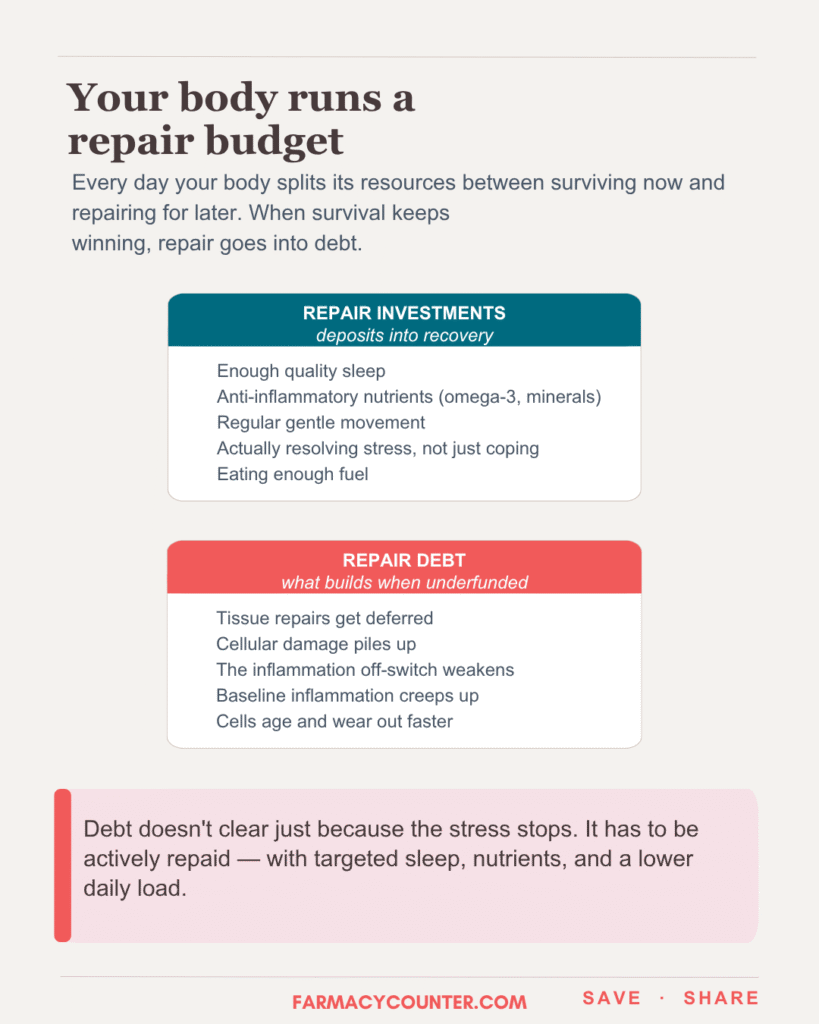 Your Body Runs a Repair Budget