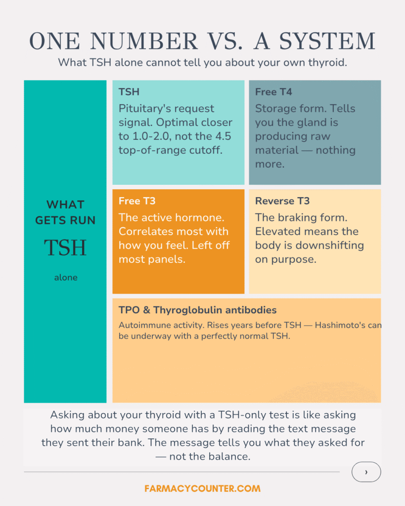 TSH Thyroid