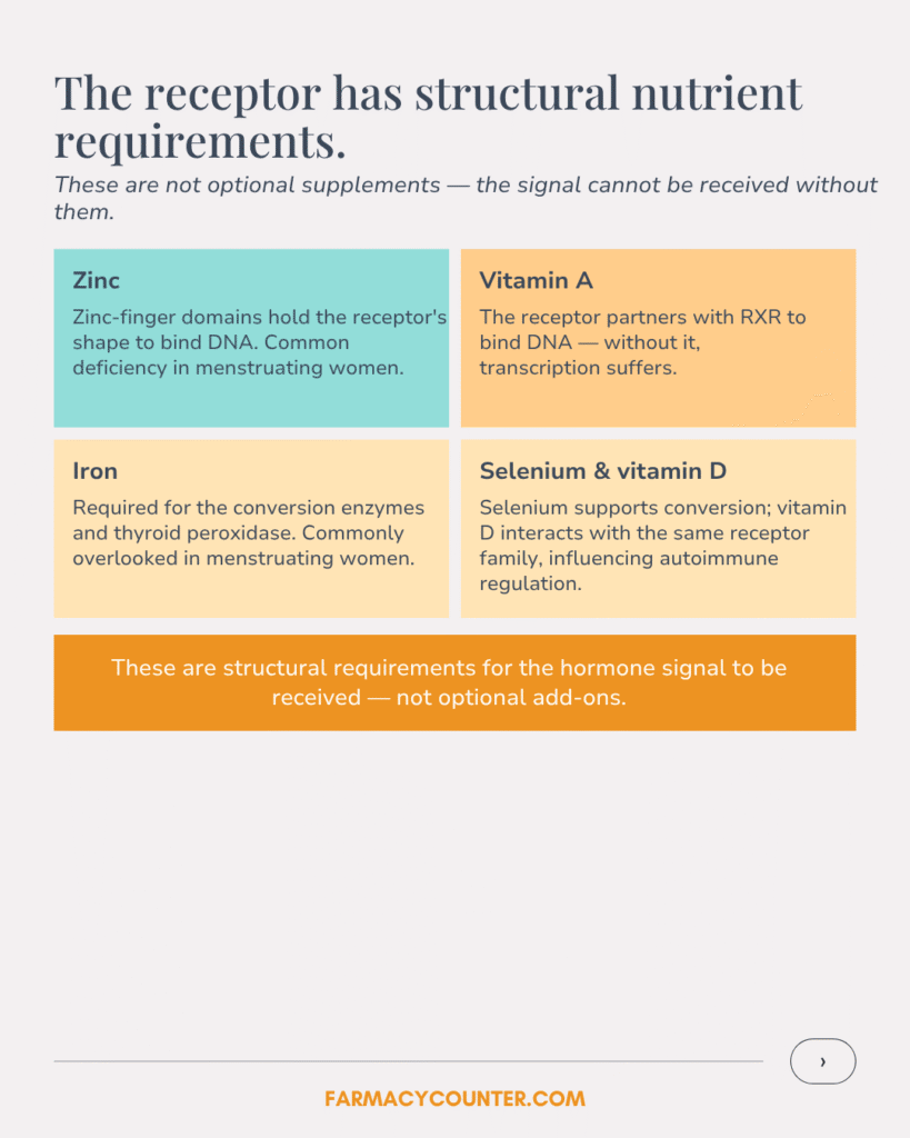 Thyroid Receptor Nutrients