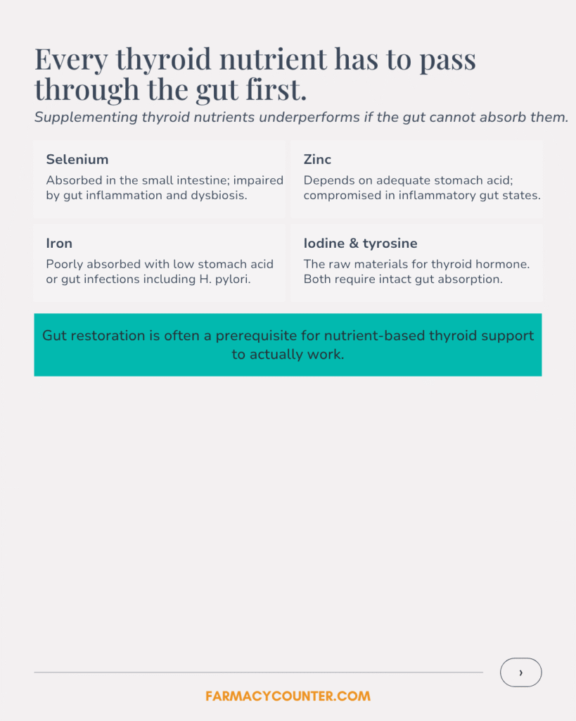 Gut-Thyroid