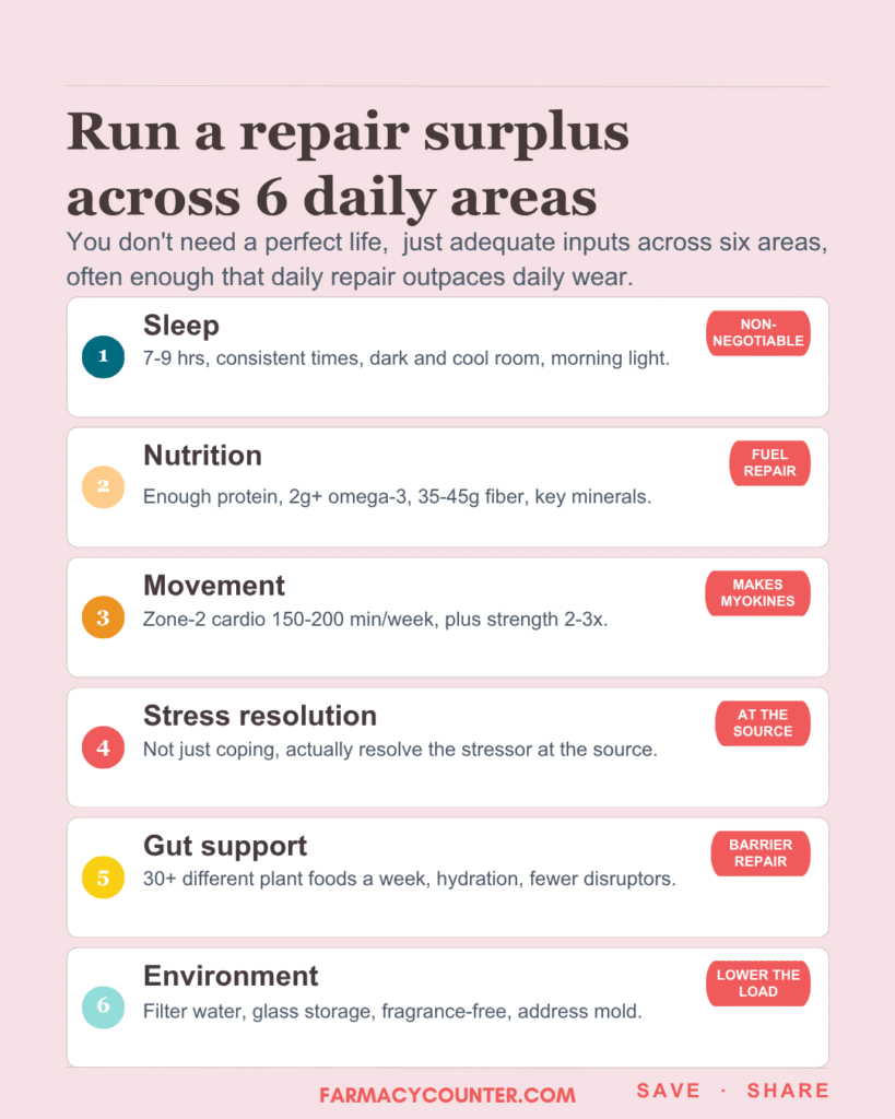 Repair Surplus