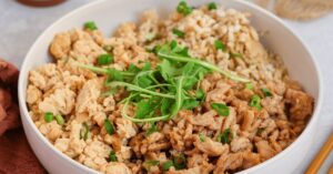 Japanese Soboro Don